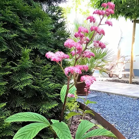 Anno1898 Appartamento